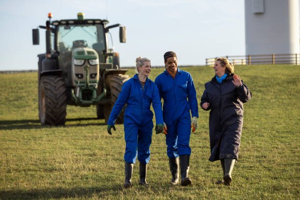 Average Salary for Farm Worker Jobs in the UK
